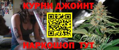 шишки Можга