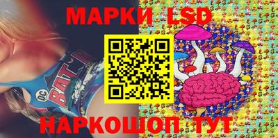шишки Можга