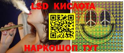 spice Моздок