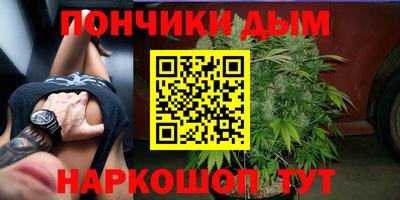 шишки Можга
