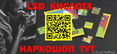 шишки Можга