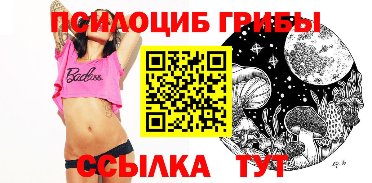 где найти   Вход с VPN  Черкесск  Псилоцибиновые грибы MAGIC MUSHROOMS 