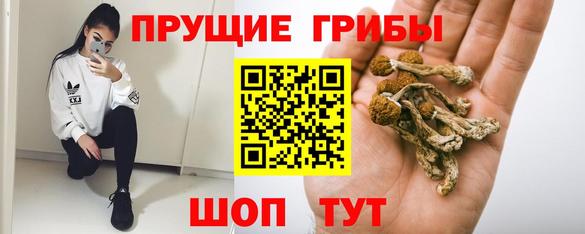Псилоцибиновые грибы ЛСД Черкесск
